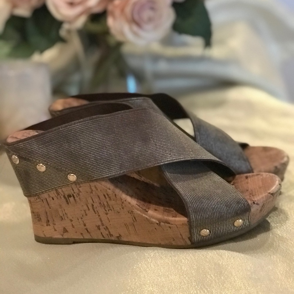 Ana. Metallic wedges